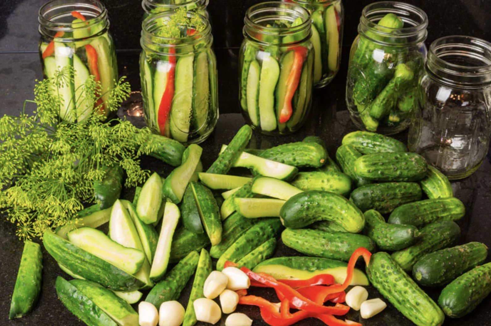 Confused About Fermented Foods? Start Here